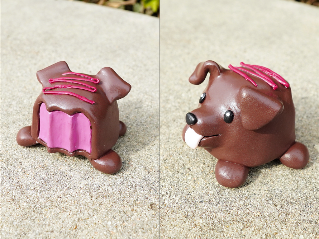 Chocolate Lab Blind Box