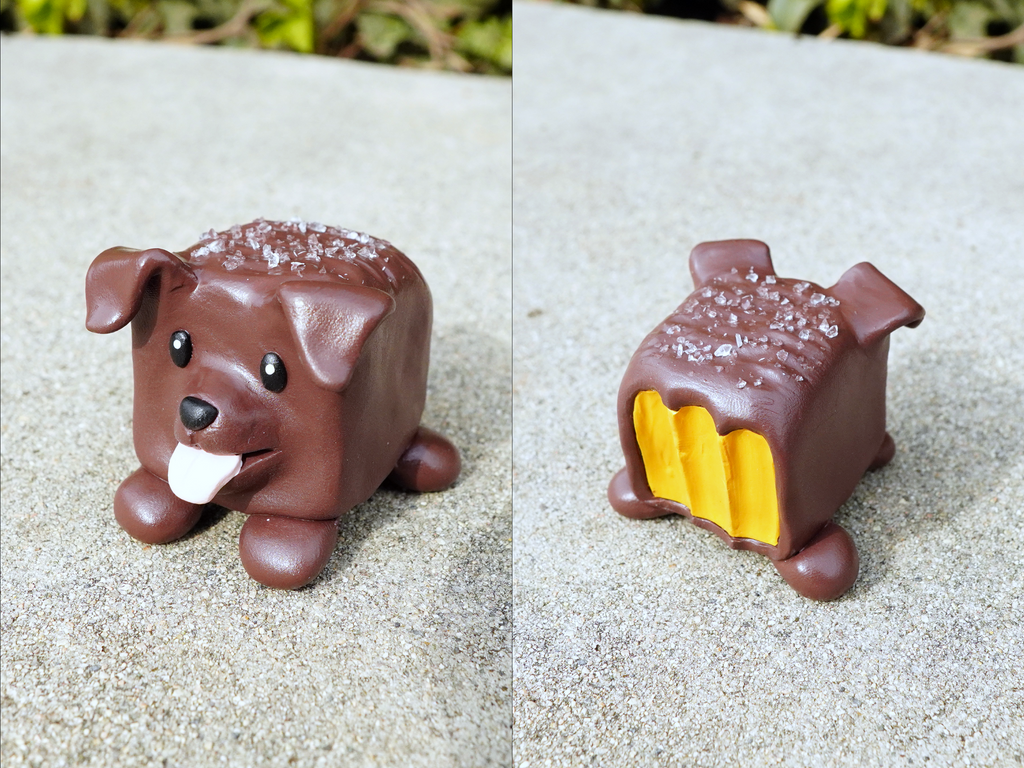 Chocolate Lab Blind Box